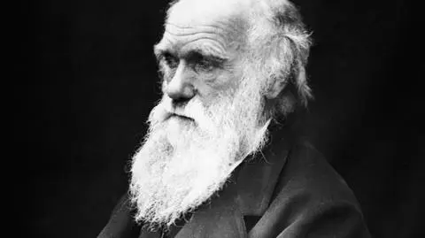 Watykan: Nie przeprosimy Darwina