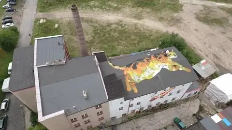 Gdańsk: Nowe dzieło Warasa. Kot na dachu na ul. Wiosny Ludów