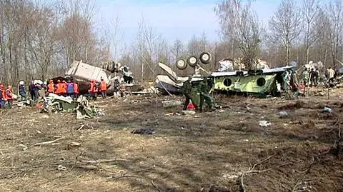 Biegli jadą do Rosji. Przebadają smoleńską brzozę