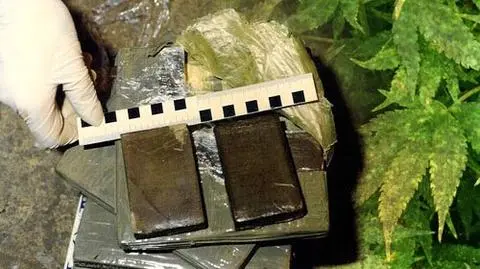 Portugalia: wpadł transport 2,4 ton haszyszu