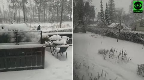 Atak zimy w Oslo. "Wszystko stoi - lotniska, drogi. Totalny paraliż"