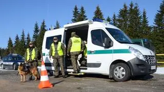 Straż graniczna znowu będzie kontrolować 