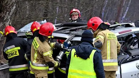 Łuskowo: auto z całą rodziną uderzyło w drzewo