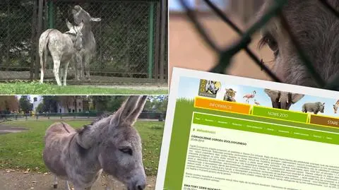 Cała rodzina znów w komplecie