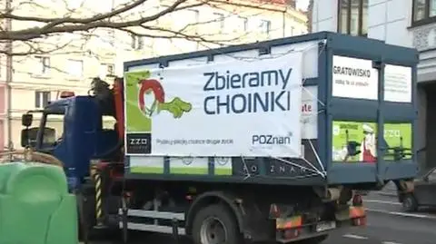 Choinki na śmietnik? Lepiej dać im drugie życie