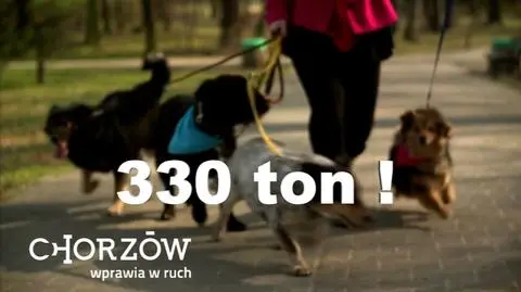 "Nie rób gańby. Skludzej po swoim psie"