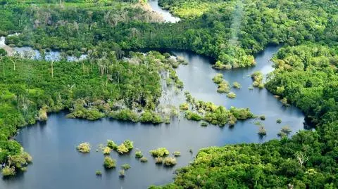 Brazylia. Nie żyje ekolog broniący lasów Amazonii
