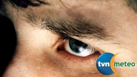 Im ciemniej i zimniej, tym mózg i oczy większe