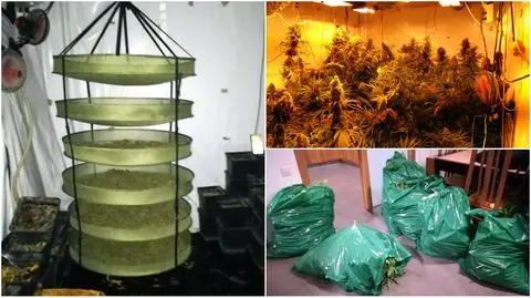 Łódź: Polska i hiszpańska policja rozbiły gang narkotykowy