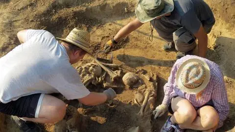Sandomierz. Archeolodzy odkryli dwa groby. Jeden ma 4,5 tys. lat