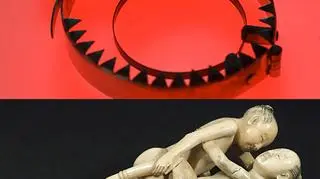 Wystawa "The Institute of Sexology" po raz pierwszy odbędzie się w Londynie
