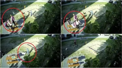 Choszczno: Bulterier pogryzł dzieci na placu zabaw