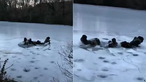 Robili selfie, wpadli do wody. Lód załamał się pod grupą nastolatków