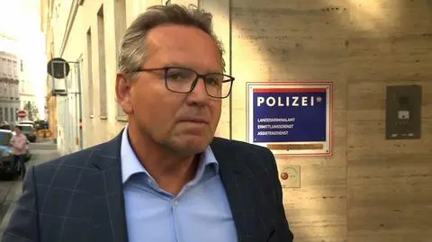 Austrian businessman Gerald Birgfellner has testified yet again in the, but this time in Vienna (video from April 12)