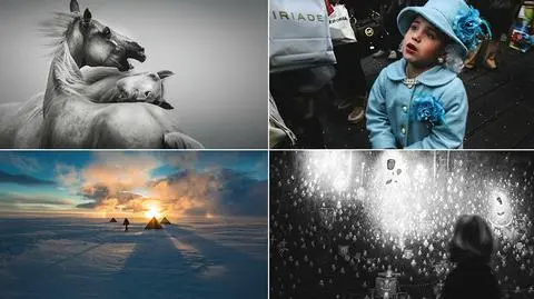 Najlepsze zdjęcia według "National Geographic Polska"