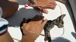 Straż przybrzeżna ruszyła na pomoc