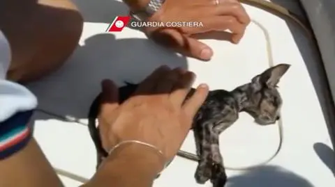 Wybierz najciekawsze wideo tygodnia w tvn24.pl