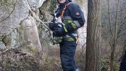 Strażacy ewakuowali ze skały kundelka