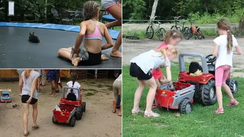 Toruń: Z gospodarstwa zabrano 123 króliki