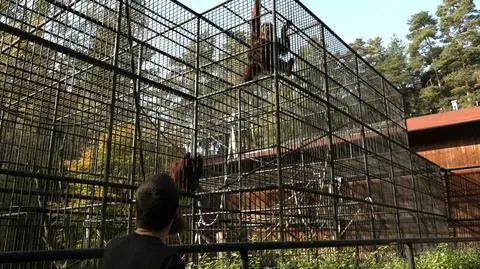 W kampanię edukacyjną zaangażowało się gdańskie ZOO