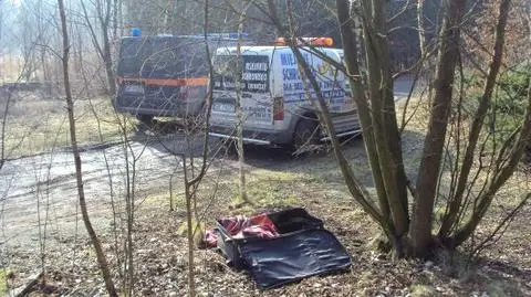 Zwłoki psa ukryte w walizce i porzucone w parku. Właściciel chciał zaoszczędzić?