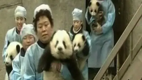 Niestraszne im trzęsienie ziemi