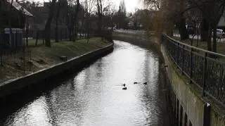 Przebudują Kanał Raduni w centrum Pruszcza Gdańskiego
