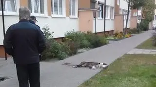 Policjant postrzelił psa, kiedy ten rzucił się na kobietę
