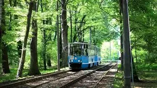 Tramwaje pojadą według wakacyjnego rozkładu jazdy