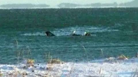 Mały, prywatny samolot rozbił się i spadł do płytkich wód otaczających wyspę Kodiak na południu Alaski. Zginęło pięć osób z 10, które były na pokładzie. Samolot, należący do przetwórni ryb, rozbił się tuż po starcie - poinformowała amerykańska straż przybrzeżna.Cztery osoby zginęły pod szczątkami maszyny. Piąta - starała się dopłynąć do brzegu. Pozostałe osoby wyłowili ratownicy. Cztery z nich przebywają w szpitalu i są w stabilnym stanie. Natomiast stan piątej, uratowanej osoby pozostaje nieznany. (APTN)