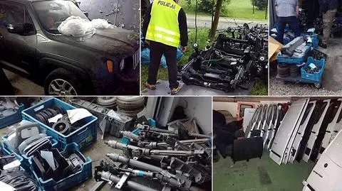 Odkryli trzy dziuple. W jednej były części "bezcennego prototypu"
