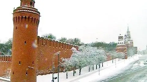 British Council nielegalna