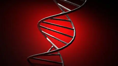 Odtworzą wygląd twarzy na podstawie DNA?