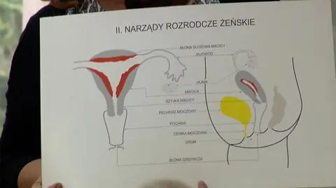 Projekt stop pedofilii trafi do prac w komisji