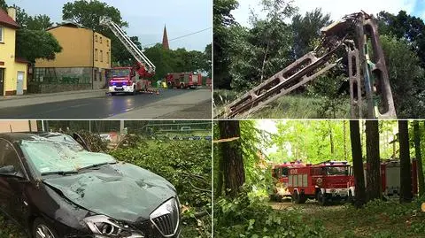 Usuwanie skutków nawałnic