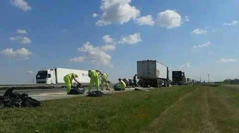 Pasza na autostradzie A2