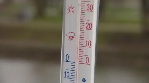 Zimowej aury nie wiadać, temperatury są dodatnie 