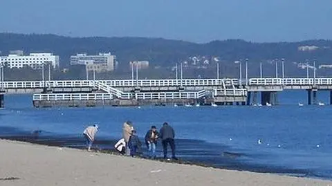 Gdańskie molo w połowie zamknięte. Remont
