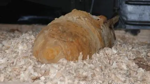 Sperzy zabezpieczyli 50-kilogramową bombę