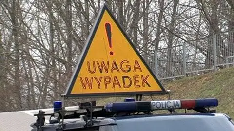 Konie wtargnęły na jezdnię. Trzy zginęły