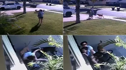 Własnym ciałem osłoniła synka przed atakiem psów