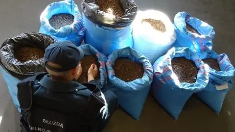 To rekordowy w tym roku przemyt bursztynu - informują celnicy