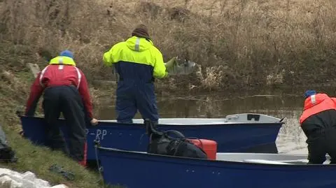 Nurkowie po raz kolejny przeszukują Wartę
