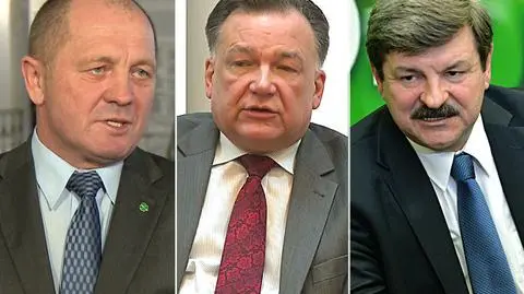 Z Mazowsza do Strasburga. Kandydaci PSL