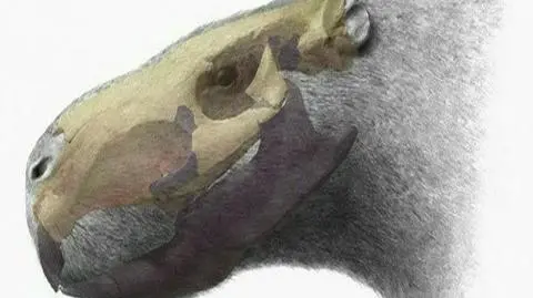 Prehistoryczny gryzoń ważył tonę