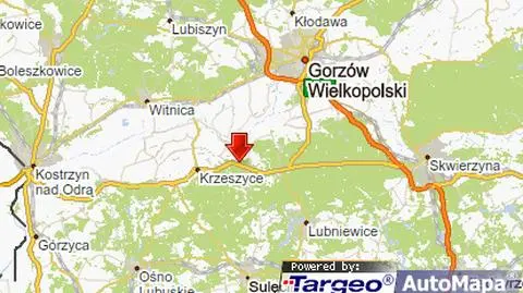 Śmiertelny wypadek, kierowca wjechał w drzewo