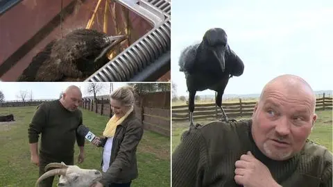 Polski dr Dolittle nazywa się Paweł Kowalski