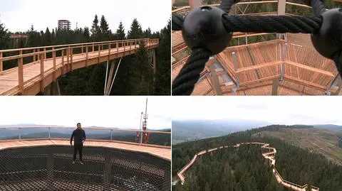 Słowacja. Spacer w koronach drzew? Teraz to możliwe