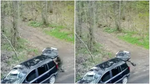 Kolbudy: Zaśmiecał las, teraz go posprząta i zapłaci mandat