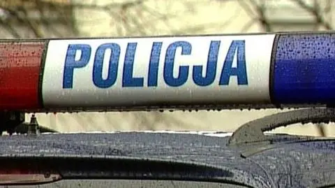 Policjanci potrącili psa. Celowo?